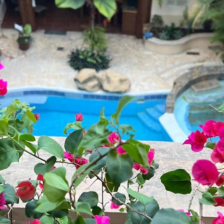 Hotel Quinta Maya Флорес Экстерьер фото